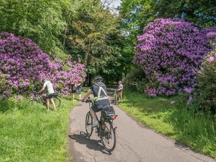 Najlepsze trasy rowerowe w Pszczynie - odkryj piękno regionu